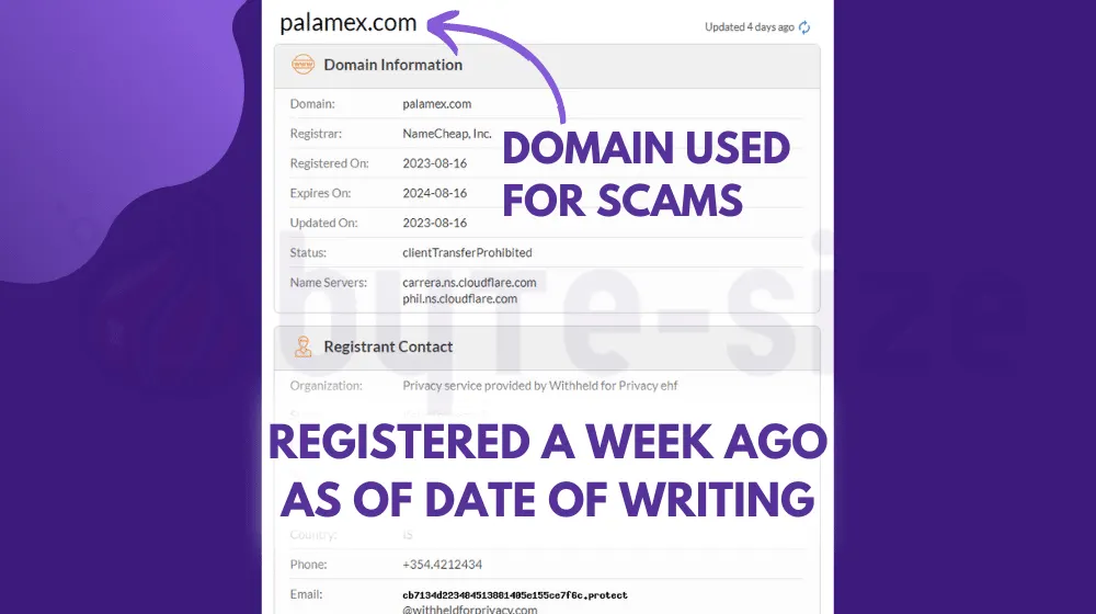 Newly registered domain name