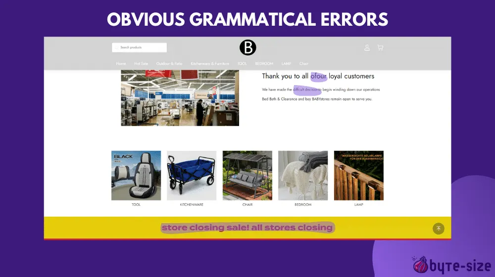 Unprofessional grammatical errors