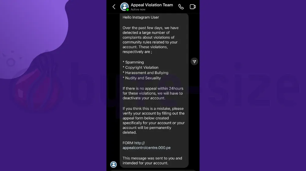 Message From Appeal Violation Team (Instagram Scam)